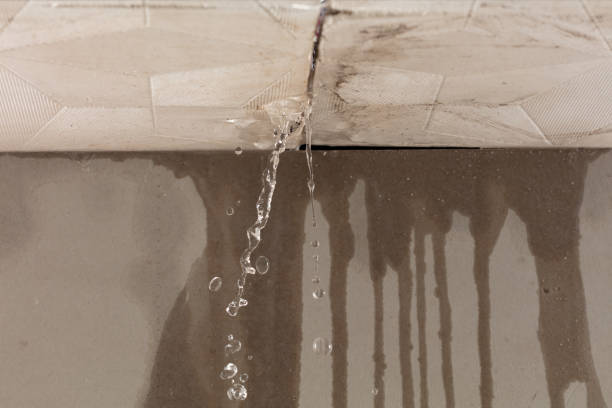 Professional Flood Damage Cleanup technician working in Leighton, AL